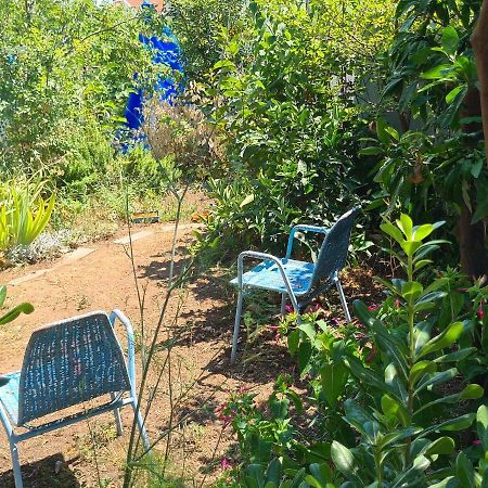 Studio Apartment Garden Dubrovnik Kültér fotó